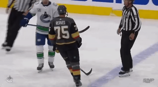 Antoine Roussel and Ryan Reaves Are Gonna Throw Hands At Least Once in this  Series – Ham Sports